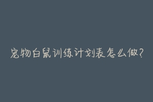 宠物白鼠训练计划表怎么做?