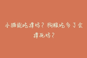 小猫能吃撑吗?狗粮吃多了会撑死吗?
