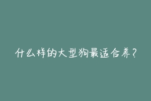 什么样的大型狗最适合养?