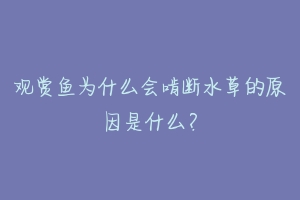 观赏鱼为什么会啃断水草的原因是什么?