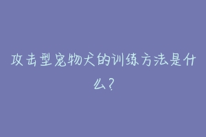 攻击型宠物犬的训练方法是什么?