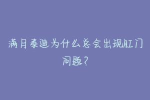 满月泰迪为什么总会出现肛门问题?