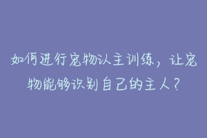 如何进行宠物认主训练,让宠物能够识别自己的主人?