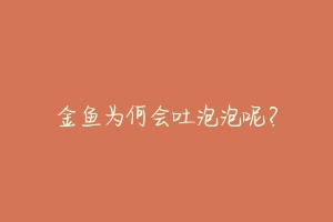 金鱼为何会吐泡泡呢?