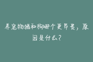 养宠物猪和狗哪个更昂贵,原因是什么?