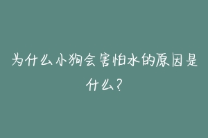 为什么小狗会害怕水的原因是什么?