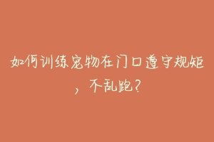 如何训练宠物在门口遵守规矩,不乱跑?
