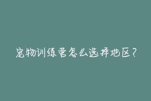 宠物训练营怎么选择地区?