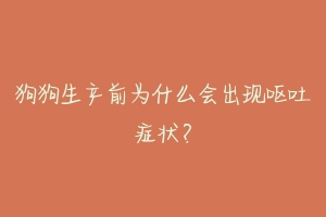 狗狗生产前为什么会出现呕吐症状?