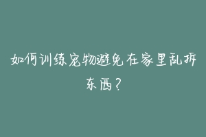 如何训练宠物避免在家里乱拆东西?