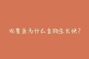 观赏鱼为什么食物生长快?