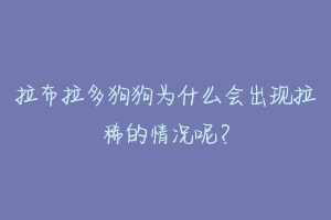 拉布拉多狗狗为什么会出现拉稀的情况呢?