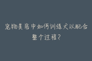 宠物美容中如何训练犬以配合整个过程?