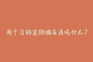 两个月的宠物猪应该吃什么?