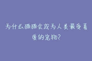 为什么猫猫会成为人类最受喜爱的宠物?