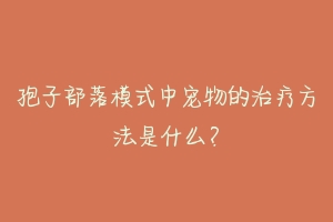 孢子部落模式中宠物的治疗方法是什么?