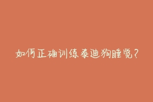 如何正确训练泰迪狗睡觉?