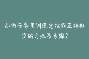 如何在家里训练宠物狗正确排便的方法及步骤?