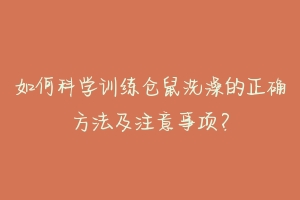 如何科学训练仓鼠洗澡的正确方法及注意事项?