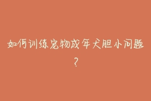 如何训练宠物成年犬胆小问题?