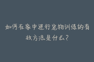 如何在家中进行宠物训练的有效方法是什么?