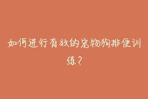 如何进行有效的宠物狗排便训练?