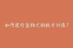 如何进行宠物犬的跑步训练?