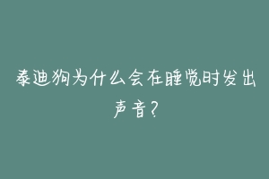 泰迪狗为什么会在睡觉时发出声音?