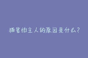 猫害怕主人的原因是什么?