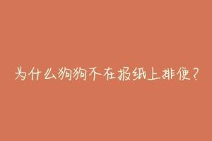 为什么狗狗不在报纸上排便?