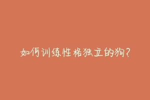 如何训练性格独立的狗?