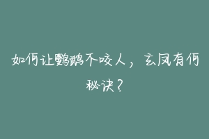 如何让鹦鹉不咬人,玄凤有何秘诀?