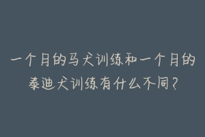 一个月的马犬训练和一个月的泰迪犬训练有什么不同?