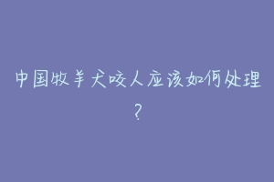 中国牧羊犬咬人应该如何处理?