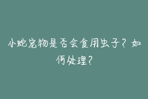 小蛇宠物是否会食用虫子?如何处理?