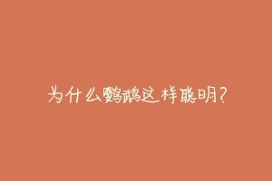 为什么鹦鹉这样聪明？