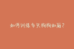 如何训练多只狗狗如厕?