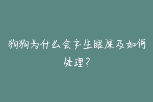 狗狗为什么会产生眼屎及如何处理?