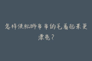怎样使松狮串串的毛看起来更漂亮?