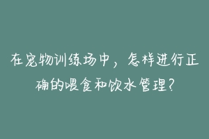 在宠物训练场中,怎样进行正确的喂食和饮水管理?
