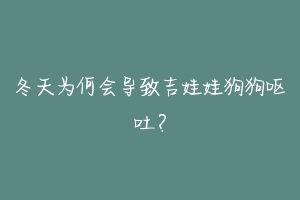 冬天为何会导致吉娃娃狗狗呕吐?
