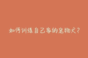 如何训练自己家的宠物犬?