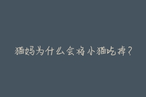 猫妈为什么会将小猫吃掉?