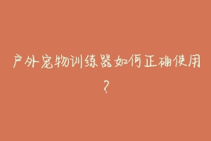 户外宠物训练器如何正确使用?