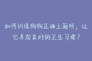 如何训练狗狗正确上厕所,让它养成良好的卫生习惯?