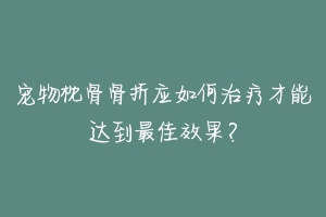 宠物枕骨骨折应如何治疗才能达到最佳效果?