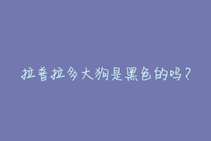 拉普拉多大狗是黑色的吗?