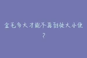 金毛多大才能不再到处大小便?