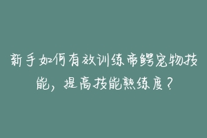 新手如何有效训练帝鳄宠物技能,提高技能熟练度?