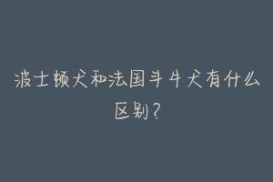 波士顿犬和法国斗牛犬有什么区别?